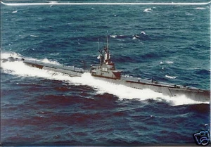 USS Archerfish SS 311 U-Boot Magnet NEU Sub - Bild 1 von 1