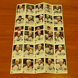 Edmonton Oilers 1986-87 Red Rooster Uncut Panel Ice Hockey Set of 2 - Picture 1 of 5