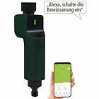 Zigbee-Bewässerungscomputer mit Ventil zur App-& Sprach-Steuerung