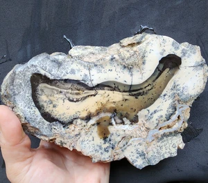 3,27 lbs (1,48 kg) Dendritische Opalplatte, Dendrit Achatplatte, Dendrit, Dendrit - Bild 1 von 18