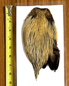 Golden Badger Rooster Cape, Neck, Fly Tying, NR - Picture 1 of 2