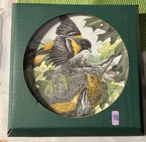 A.J. Rudisill Northern Oriole Gebäude der Nistplatte - National Audubon Society - Bild 1 von 2