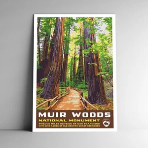 Muir Woods National Monument Reiseposter/Postkarte Redwoods USA mehrere Größen - Bild 1 von 4
