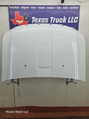 Ford Super Duty F250 F350 F450 F550 2008-2010 capó Foto 1 de 4