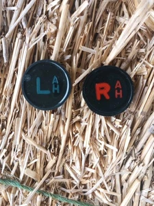 Röntgenmarker mit Initialen AH - Bild 1 von 10