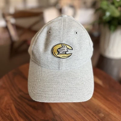 Charlotte Knights MiLB Adjustable Women’s Gray New Era Baseball Cap - Image 1 of 4