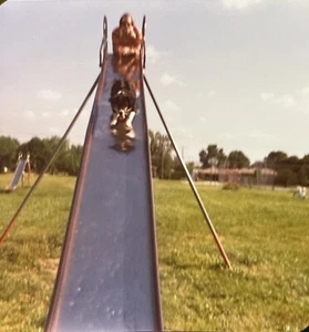 Vintage 1960s Photo Bernese Mountain Dog On Playground Slide Puppy photograph - Picture 1 of 2