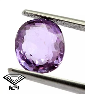 1.63 Ct Violet Purple IGI Certified Natural purple Sapphire Oval Unheated Gem - Picture 1 of 8