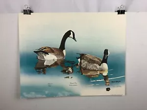 Gene Gray Canada Goose Geese Bird Wildlife Art Print Signed - Picture 1 of 11