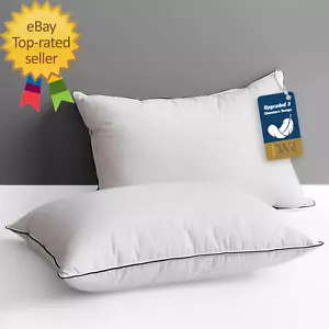 Goose Feather down Core Pillow Surrounded by Polyester 2 Pack, 100% Organic - Picture 1 of 8