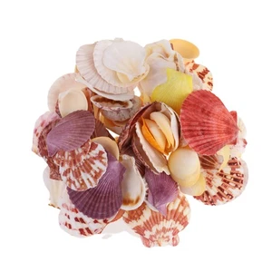  Conchas de mar Decoración Acuario Accesorios Peces Decoraciones Decoración - Imagen 1 de 12