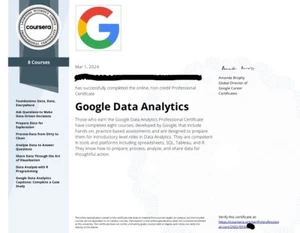 Aide Google Data Analytics Certificat Professionnel Coursera Cours - Photo 1 sur 1