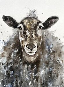 NEW 14 X 10 Inches ORIGINAL WATERCOLOUR PAINTING  'SHEEP’ FARM ANIMAL