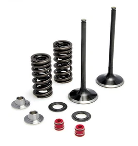 Kit de resorte de válvula de admisión Honda CRF250 X/R Kibblewhite KPMI titanio 30-31200 - Imagen 1 de 1