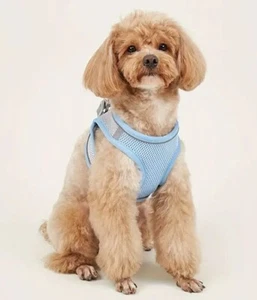 Arnés de malla acolchado suave para cachorro mascota perro transpirable cómodo azul talla mediana - Imagen 1 de 3