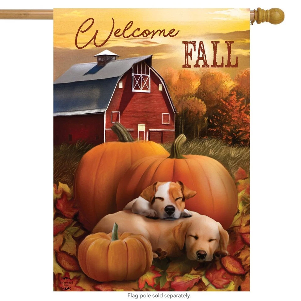 Флаг Welcome Fall Puppies House Flag Autumn Pumpkin Farm 28 дюймов x 40 дюймов Briarwood Lane - Изображение 1 из 4