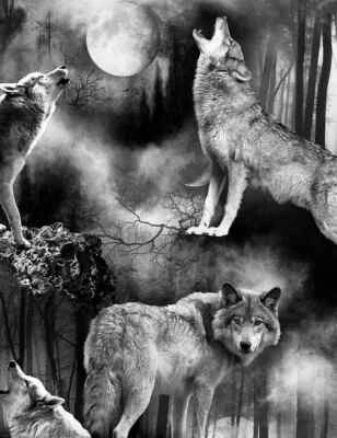  Face Mask wolves grey howl full moon Halloween occult haunted web Filter Adult - Image 1 of 4