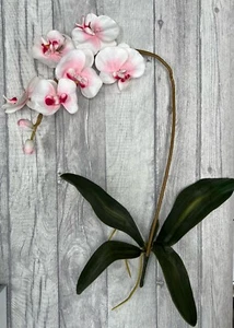 Faux Orchid Stem With Leaves & Roots In White, Realistic & Fully Bendable - Picture 1 of 5