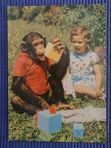 postal antigua postal mono chimpancé niño niña jugar aprender años 50 - Imagen 1 de 2