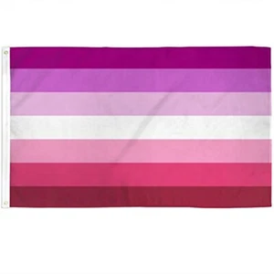 2x3 Lesbian Waterproof Flag LGBT Gay Pride Outdoor Banner Rainbow Polyester New - Picture 1 of 4