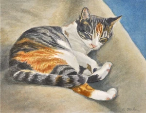 CALICO TABBY CAT SLEEPING Watercolor with Colored Pencil Art Print by P. Tarlow - Picture 1 of 3