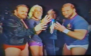 TDK T-120 VHS NWA 1989-90 Superstation TBS Eddie Gilbert Arn Anderson Flair Funk - Picture 1 of 24