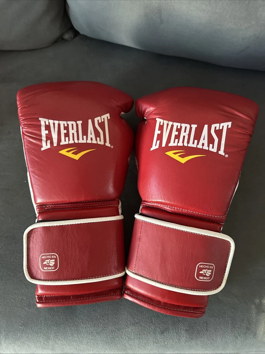 限定カラー】EVERLAST ボクシング グローブ アメリカ国旗 14オンス