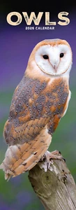 Owls Slim 2026 Calendar | Slimline Bird Gift 15% OFF MULTI ORDERS - Picture 1 of 8