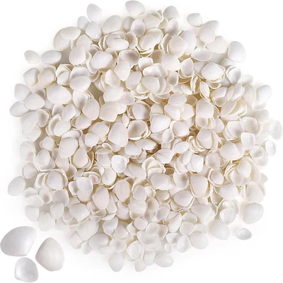 PPCLION 600 Pcs Natural Tiny Small Sea Shells White Clam Shells for DIY Craft, J - Image 1 of 4