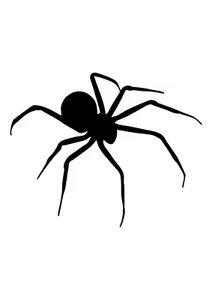 Pegatina Coche Pegatina Araña Animal Pegatina 9X9 cm Transparente - Imagen 1 de 10