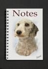 Bedlington Terrier Dog No 2 Notebook by Starprint G & D