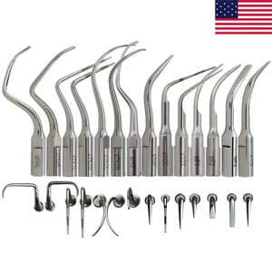 Ultraschall Piezo Scaler Spitze ACTEON Newtron H3 1S 10Z #10X Satelec Scaling Prophy - Bild 1 von 123