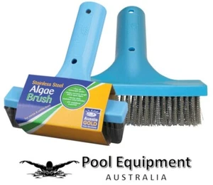Stainless Steel Algae Brush 15cm / 6" � Pool / Concrete Cleaning � Aussie Gold - Picture 1 of 8