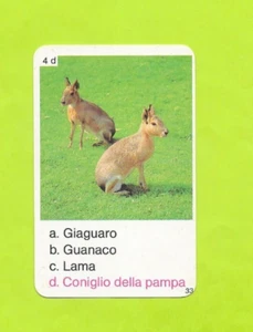 Carte Italienne - N°4d - Lièvre de la Pampa - Picture 1 of 2