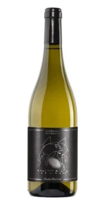 Marche Bianco IGT - ANIMALE CELESTE 2024 - Santa Barbara - Foto 1 di 1