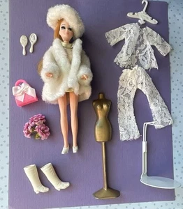Beautiful Topper Dawn With Extra Outfits & Accessories Non Played With Condition - Picture 1 of 10