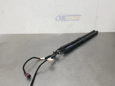 Range Rover 19 2019 tapa elevadora eléctrica amortiguador CPLA70354AG Foto 1 de 4