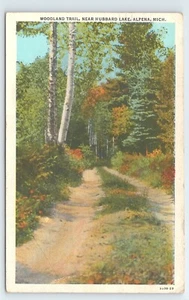 Postkarte Waldweg in der Nähe von Hubbard Lake Alpena Michigan - Bild 1 von 2