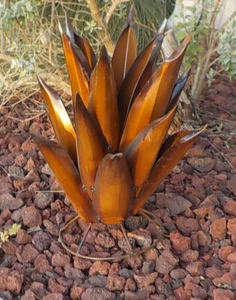 METAL YARD ART AGAVE CACTUS SCULPTURE 18" TALL BROWN - Picture 1 of 5