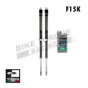 Matris F15K Fork Cartridge Kit to fit Suzuki SV1000 / SV1000S K3-K7 2003-2007 - Picture 1 of 4