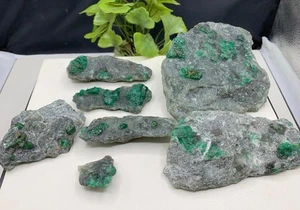 Outstanding Emerald Specimen Lot (8 Pcs, 1.3kg) | Natural Swat Pakistan Crystals - Picture 1 of 8