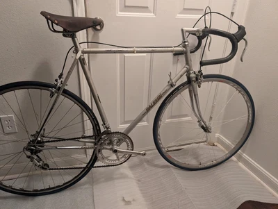 Bicicleta de carretera retro Raleigh Carlton Competition GS 1979 65 cm Reynolds 531 Campagnolo Foto 1 de 4