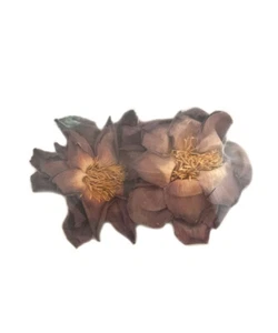 Whole Sacred Pink Lotus Flower Packs (Nelumbo nucifera) FRESH 3 Pack - 6 Whole - Picture 1 of 1