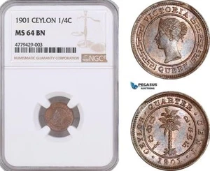 AF172, Ceylon, Victoria, 1/4 Cent 1901, NGC MS64BN - Picture 1 of 1