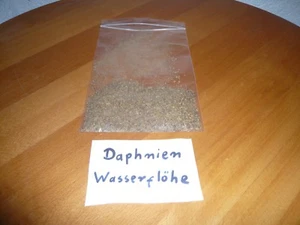 50 ml Daphnien Wasserflöhe Fischfutter , Futter für Reptilien   (20,00€/L) - Bild 1 von 1
