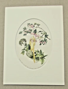 Cornish Pixies Flower Meanings ll by Just Jean Mounted Print - Afbeelding 1 van 1