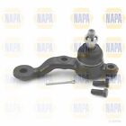 Ball Joint For Lexus IS 200 | Napa Steering