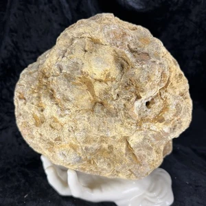 8” Uncut Large Geode 14Lb Quartz Nodule Crystal Chalcedony Unopened Non Rattling - Picture 1 of 9