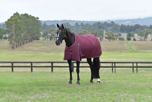 WeatherBeeta ComFiTec Essential Turnout (360g Heavy) - Picture 1 of 13