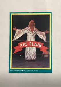 RIC FLAIR RC 1982 REVISTA BIG WRESTLER PEGATINA NOVATO - Imagen 1 de 3